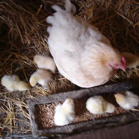 Holiday home Le Val Godard *