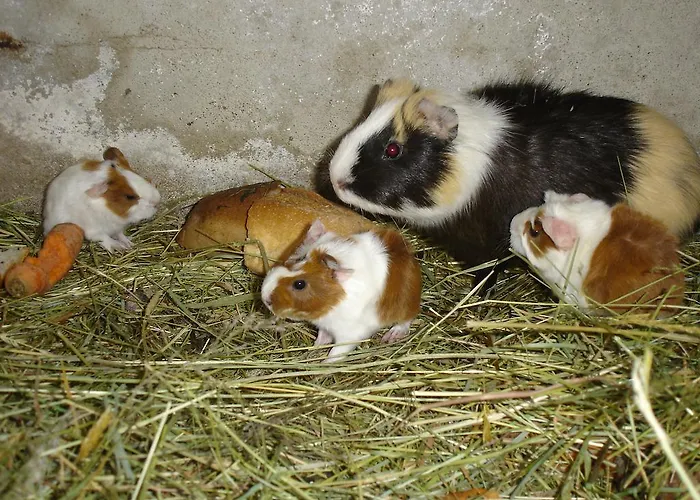 Holiday home Le Val Godard