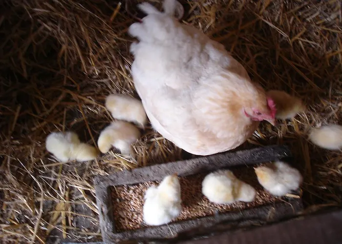 Holiday home Le Val Godard *